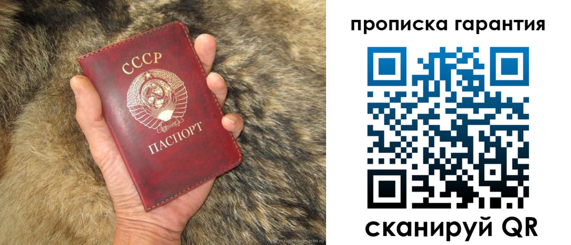 временная регистрация гарантия в Ардоне